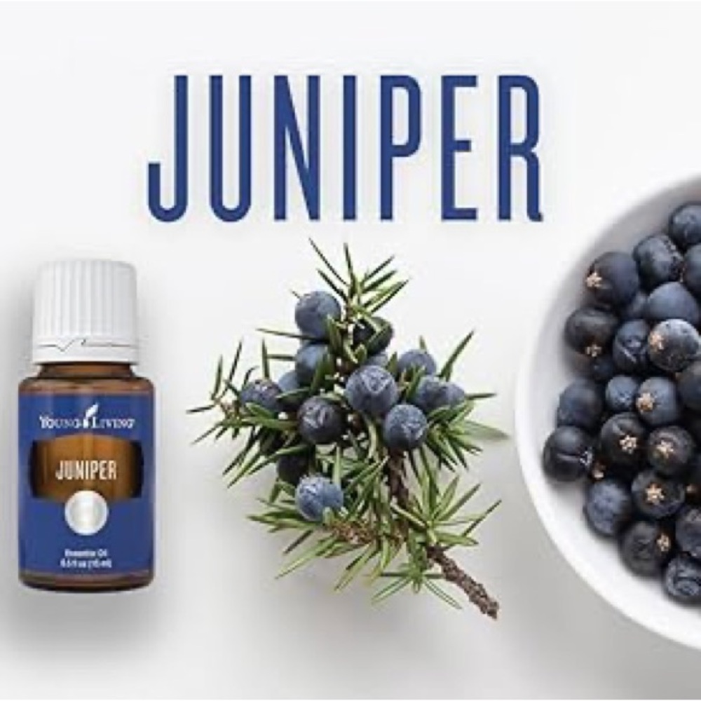 🌱 JUNIPER YOUNG LIVING ESSENTIAL OIL 15ML. 🌱NEW🌱